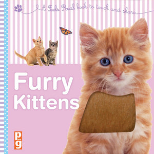 Feels Real: Furry Kittens