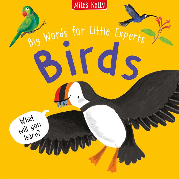 Big Words for Little Experts: Birds