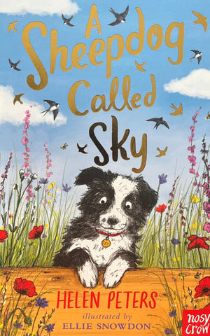 Sheepdog called Sky