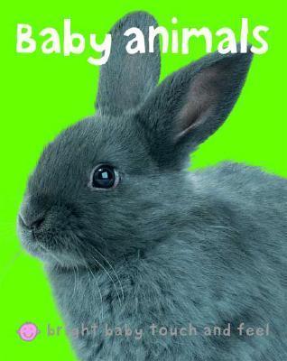 Touch and Feel: Baby Animals