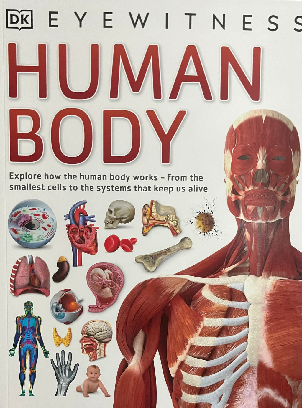 Eyewitness: Human Body