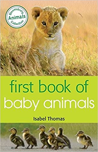 First Book of Baby Animals